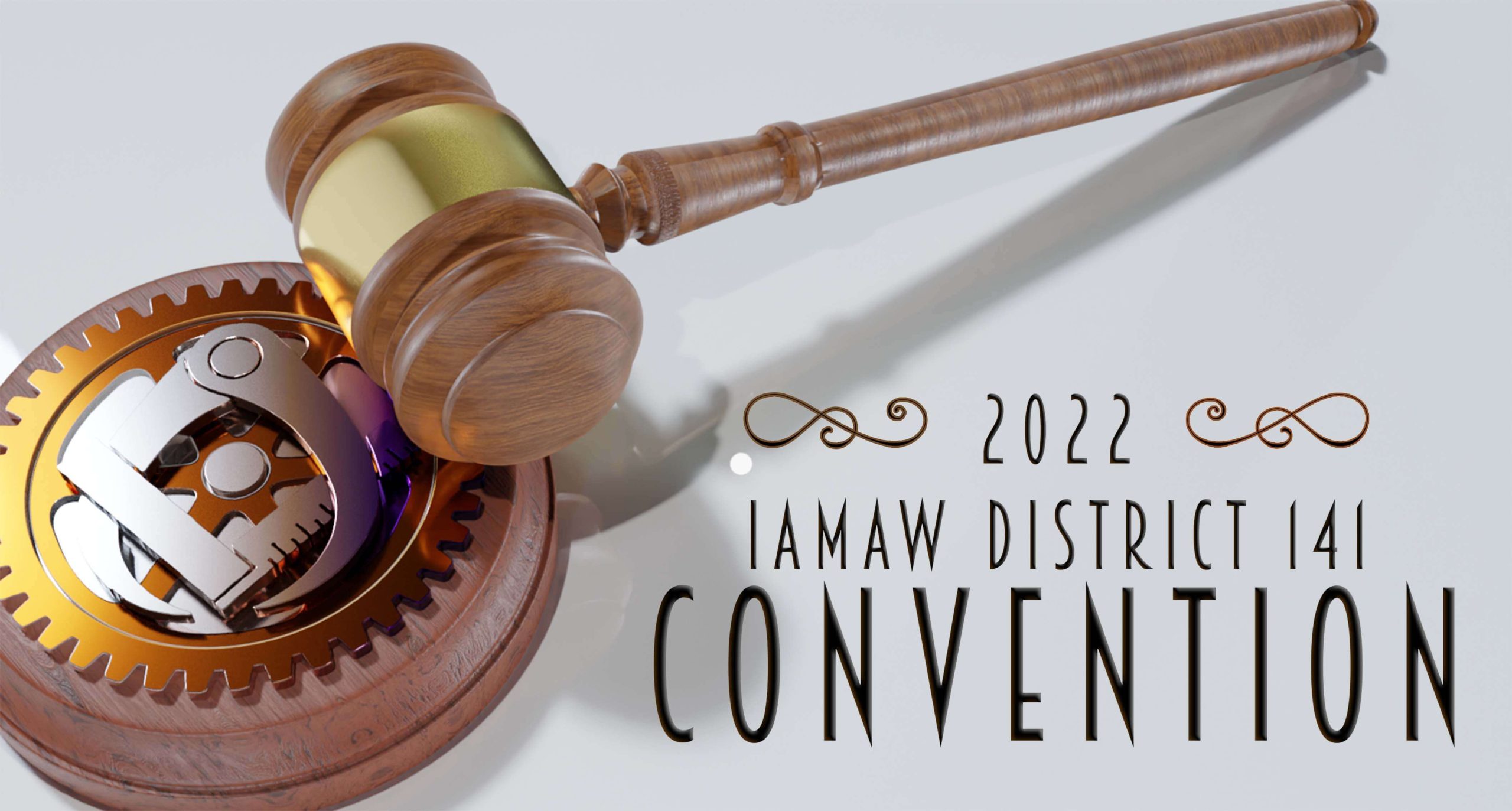 Delegates Elected to 2022 District 141 Convention